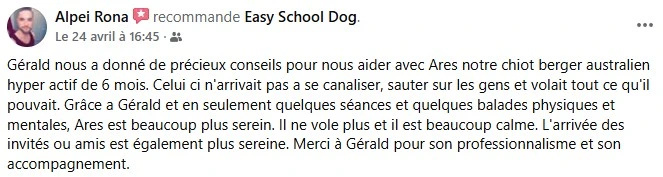 Avis client n°3